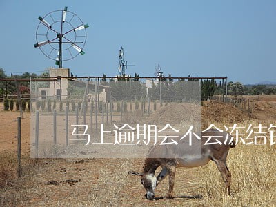 马上逾期会不会冻结银行卡 马上逾期会不会冻结银行卡
