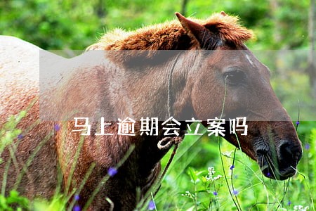 马上逾期会立案吗 马上逾期会立案吗