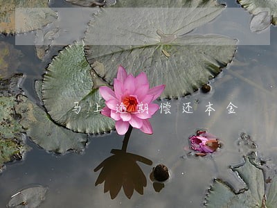 马上逾期偿还本金 马上逾期偿还本金