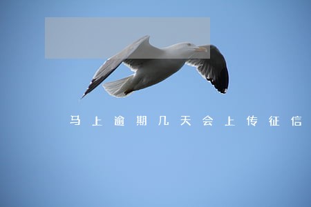 马上逾期几天会上传征信 马上逾期几天会上传征信