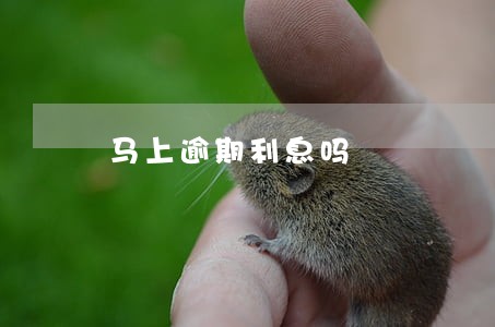 马上逾期利息吗