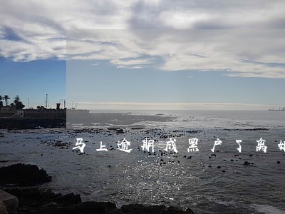 马上逾期成黑户了离婚
