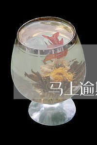 马上逾期费用 马上逾期费用