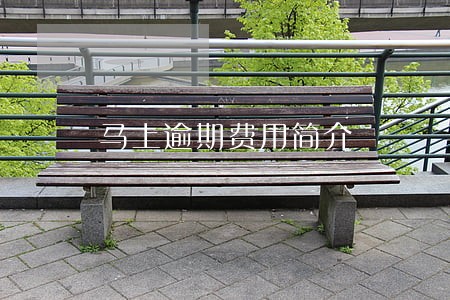 马上逾期费用简介 马上逾期费用简介