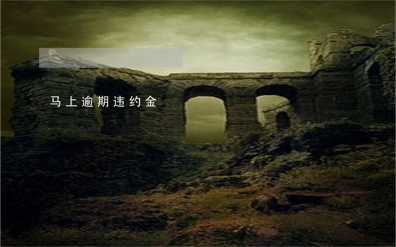 马上逾期违约金 马上逾期违约金
