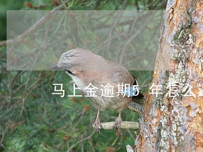马上金逾期5年怎么还款
