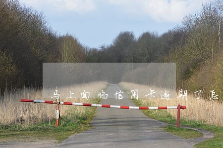 马上面临信用卡逾期了怎么办 马上面临信用卡逾期了怎么办