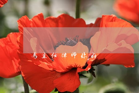 马主任律师你好 马主任律师你好