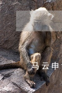 马云申请信用卡逾期会怎样