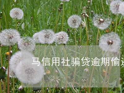 马信用社骗贷逾期偷还款