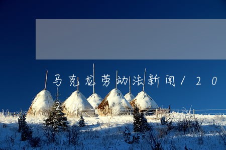马克龙劳动法新闻/2023021050205 马克龙劳动法新闻/2023021050205