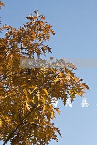 马关县局篾厂所 马关县局篾厂所