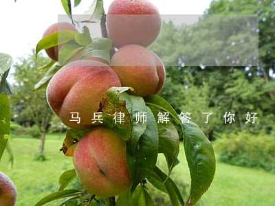 马兵律师解答了你好 马兵律师解答了你好