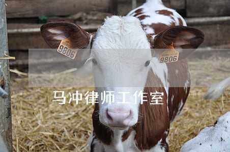马冲律师工作室 马冲律师工作室