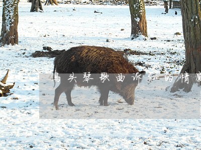 马头琴歌曲诉讼的情感 马头琴歌曲诉讼的情感