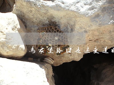 马家堡路口违法变道将被抓拍 马家堡路口违法变道将被抓拍