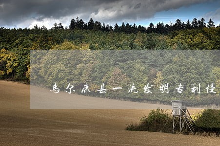 马尔康县一流发明专利侵权律师 马尔康县一流发明专利侵权律师