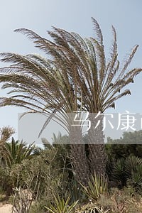 马尔康市法院地图 马尔康市法院地图