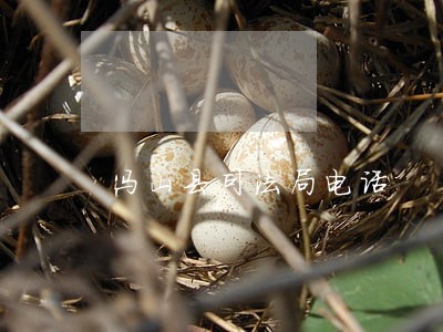 马山县司法局电话