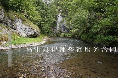 马山县律师咨询服务合同 马山县律师咨询服务合同