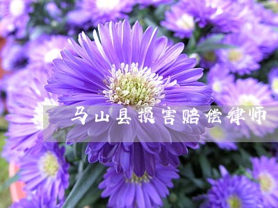 马山县损害赔偿律师