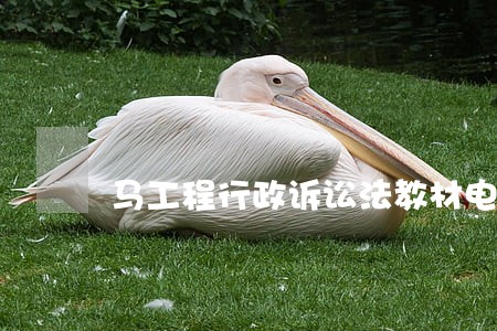 马工程行政诉讼法教材电子版 马工程行政诉讼法教材电子版