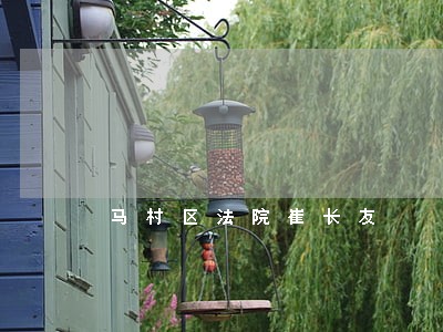 马村区法院崔长友