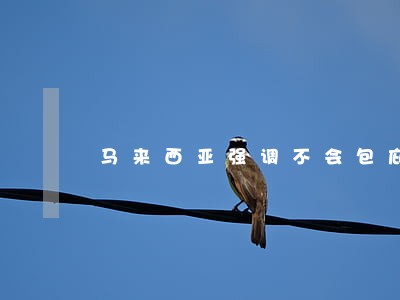 马来西亚强调不会包庇违法者