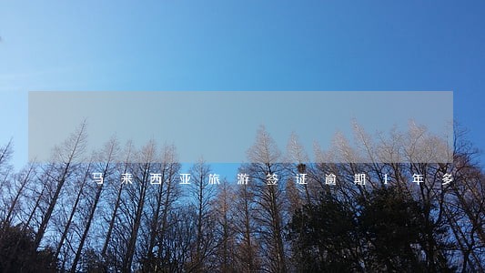 马来西亚旅游签证逾期1年多 马来西亚旅游签证逾期1年多