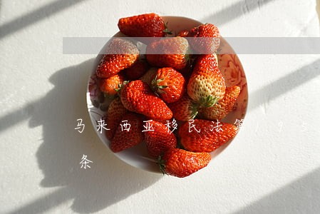 马来西亚移民法第1959/63条第83条 马来西亚移民法第1959/63条第83条