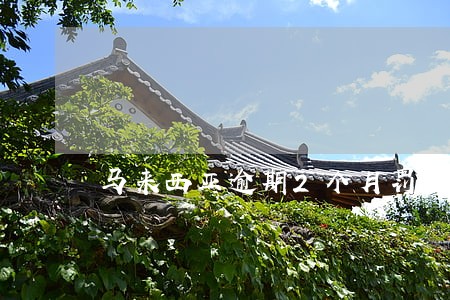 马来西亚逾期2个月罚款多少 马来西亚逾期2个月罚款多少