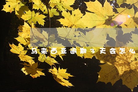 马来西亚逾期3天会怎么样 马来西亚逾期3天会怎么样