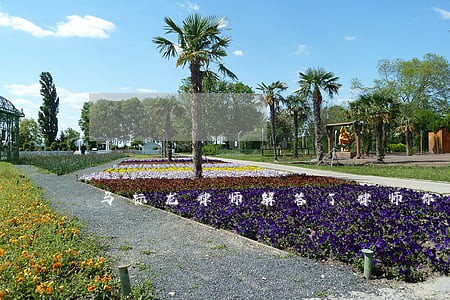 马标龙律师解答了律师你好 马标龙律师解答了律师你好