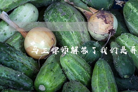 马正律师解答了我们是异地结婚 马正律师解答了我们是异地结婚