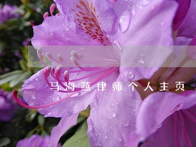 马海燕律师个人主页 马海燕律师个人主页