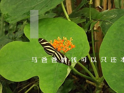 马爸爸的钱可以只还本金吗 马爸爸的钱可以只还本金吗