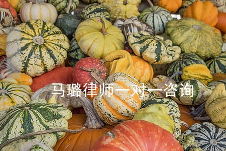 马璐律师一对一咨询 马璐律师一对一咨询