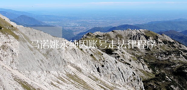 马诺姚永纯因账号走法律程序 马诺姚永纯因账号走法律程序