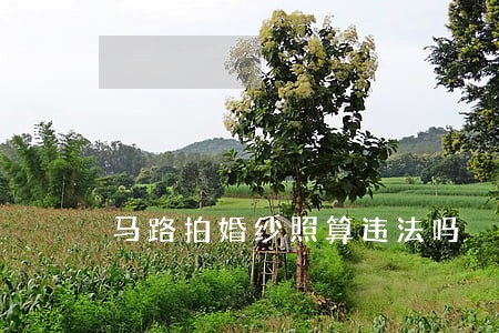 马路拍婚纱照算违法吗