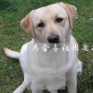 马金喜信用逾期