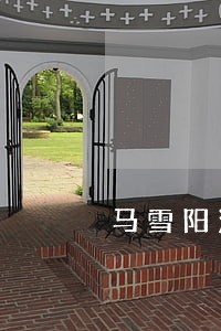 马雪阳演绎律师