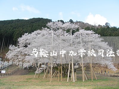 马鞍山中加学校司法拍卖