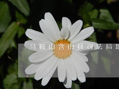 马鞍山含山县司法局地址 马鞍山含山县司法局地址