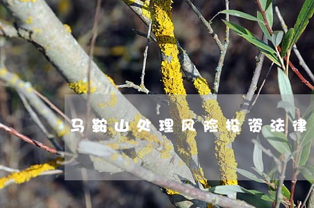 马鞍山处理风险投资法律问题律师 马鞍山处理风险投资法律问题律师