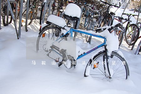 马鞍山市司法局长是谁 马鞍山市司法局长是谁
