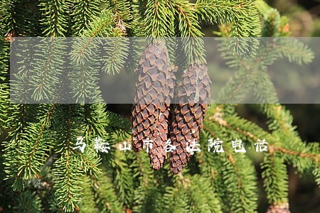 马鞍山市各法院电话 马鞍山市各法院电话