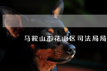马鞍山市花山区司法局局长 马鞍山市花山区司法局局长