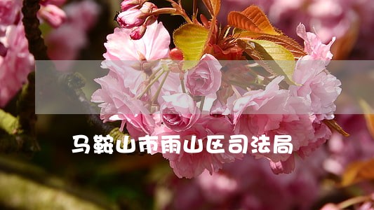 马鞍山市雨山区司法局 马鞍山市雨山区司法局