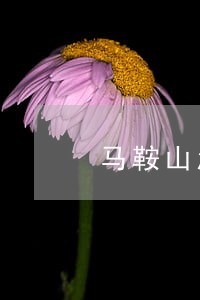 马鞍山怎么查法院有没有起诉 马鞍山怎么查法院有没有起诉