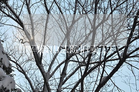 马鞍山法院拍卖工厂 马鞍山法院拍卖工厂